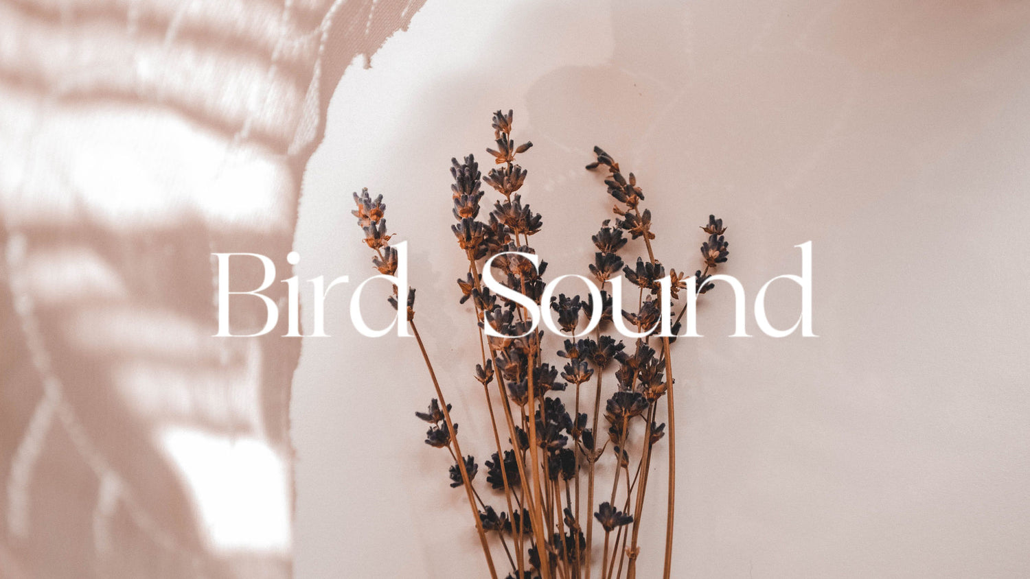 Bird Calls: Nature's Melody for Deep Sleep